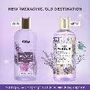 French Lavender Fields 3.webp