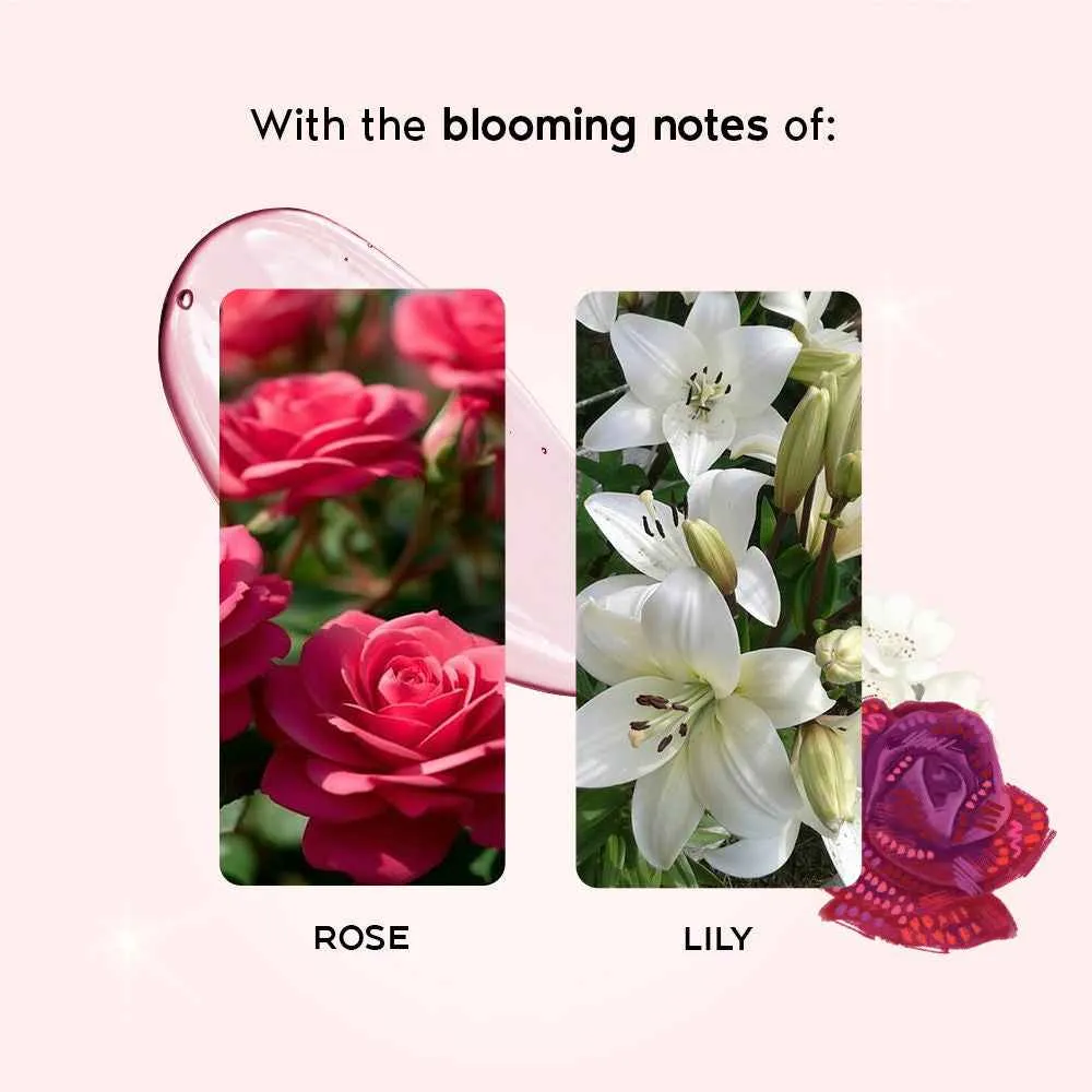 English Country Rose3.webp