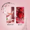 Dreaming of Paris 4.webp