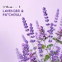 Nykaa Wanderlust French Lavender Fine Fragrance Mist2.webp