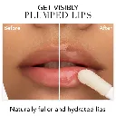 2.webp